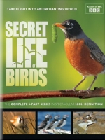 野鳥放大鏡 (The Secret Life of Birds)