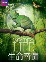 生命奇蹟 (Wonders of Life) [Disc 1/2][台版]