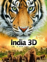 印度 3D - 老虎的蹤跡 (India 3D - On The Trail Of The Tiger) <2D + 快門3D>
