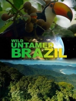 [英] 野性巴西 (Wild Untamed Brazil) (2014)[台版字幕]